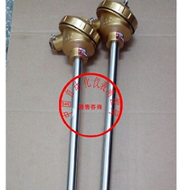 WRNK-181 armored thermocouple quick response K-type armored thermocouple PT100 flexible temperature measuring probe