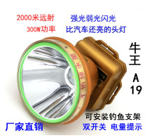 Niu King Headlight 300W strong light charging super bright waterproof long-range flashlight miner lamp A15A18 A19 outdoor yellow light