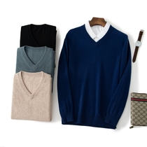 Men's worsted cashmere sweater fall winter pullover casual business bottoming shirt knitted slim warm V-neck sweater fashion