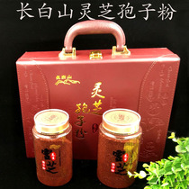 Changbai Mountain Ganoderma lucidum spore powder 500g authentic head Road Ganoderma lucidum spore powder bulk spore gift box Linzhi powder