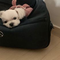 To fill the post link single pai bu fa huo