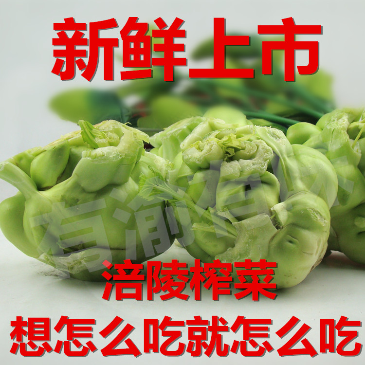 包邮重庆涪陵新鲜榨菜头菜疙瘩绷绷菜青菜头瓜儿菜5斤