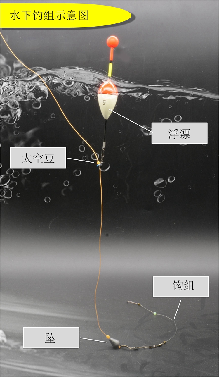 豪猪刺浮漂制作方法图片