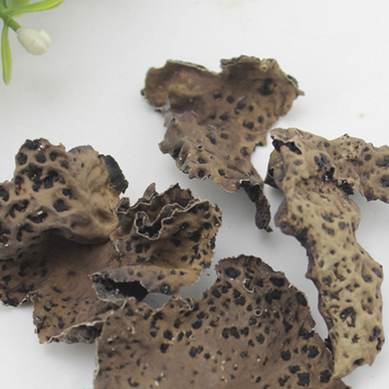 石耳干净无沙 岩耳 石衣 各种优质促销价500克2斤