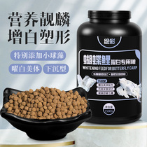 Painted butterfly carp special fish feed Taiwan dragon and phoenix koi white fish food Ornamental sinking platinum granular fish feed