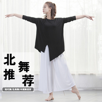 Modern dance practice suit suit Adult male and female students loose elegant performance clothing tops Kixun art examination autumn