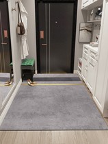 Access door mat simple modern light luxury entrance carpet high-end new 2021 door pvc can scrub home