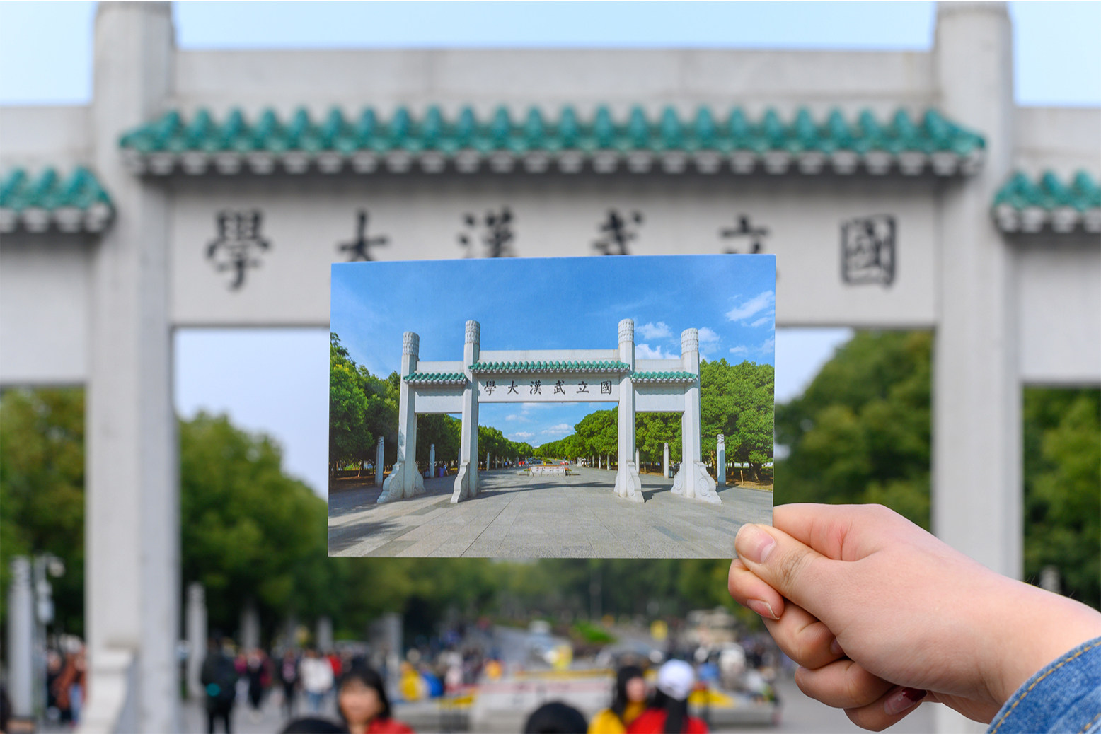 武汉大学明信片 武大明信片武汉大学纪念品武汉大学海报武大纪念 - 爱