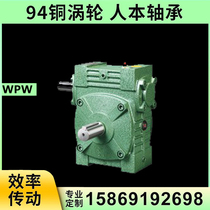 Universal worm gear reducer Wolff-Parkinson-White 40 50 60 70 80 100 120 135 vertical Reducer