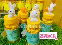 New Highs Pure Rabbit VC Pill Supplements Vitamin Rabbit Dragon Cat Tian Geranium Hamster Strengthens Immunity 100 grains