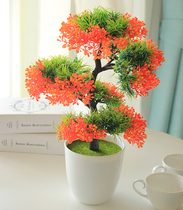 Simulation flower ornaments potted office living room wine cabinet decorations home pine Cypress plastic mini fake flower small bonsai