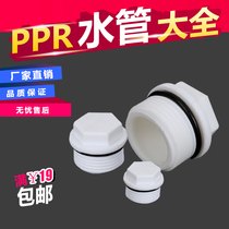 PPR external tooth plug ppr outer wire plug 4 minutes 6 minutes 20 25 internal wire pipe fittings hot water pipe fittings