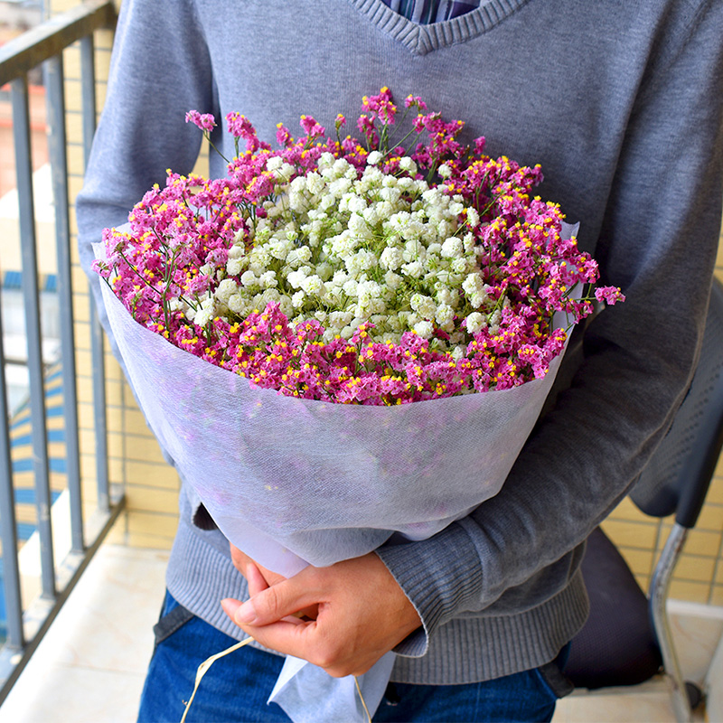 hot sale hot sale gypsophila dried flower bouquet yunnan natural air-dried birthday gift diy living room decoration flowers