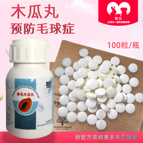 Pet Rabbit Dutch Pig Dragon Cat Hamster Pineapple papaya pills to prevent matternized hair and hair 100 grains