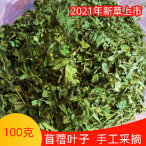 Clover leaves handpicked with good taste and good infant favorites 100 gr small bagels clover grass foliage pet pasture