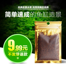 Water grass seed mini pair leaf grass fish tank foreground grass speed lawn seed aquarium landscape cattle hair grass