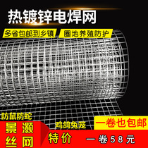 Galvanized Iron Wire Mesh Stop Chicken Breeding Nets Steel Wire Mesh Protective Netting Anti-Rat Mesh Vegetable Garden Orchard Isolation Mesh Small Hole Fencing
