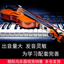 Adult violin students play upscale tiger print back boards with pure handmade children beginners professional