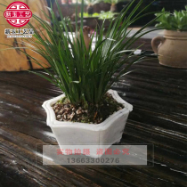 Stone carving white marble small stone pot pot succulents flower pot Stone carving flower pot Calamus bonsai Daffodil flower pot