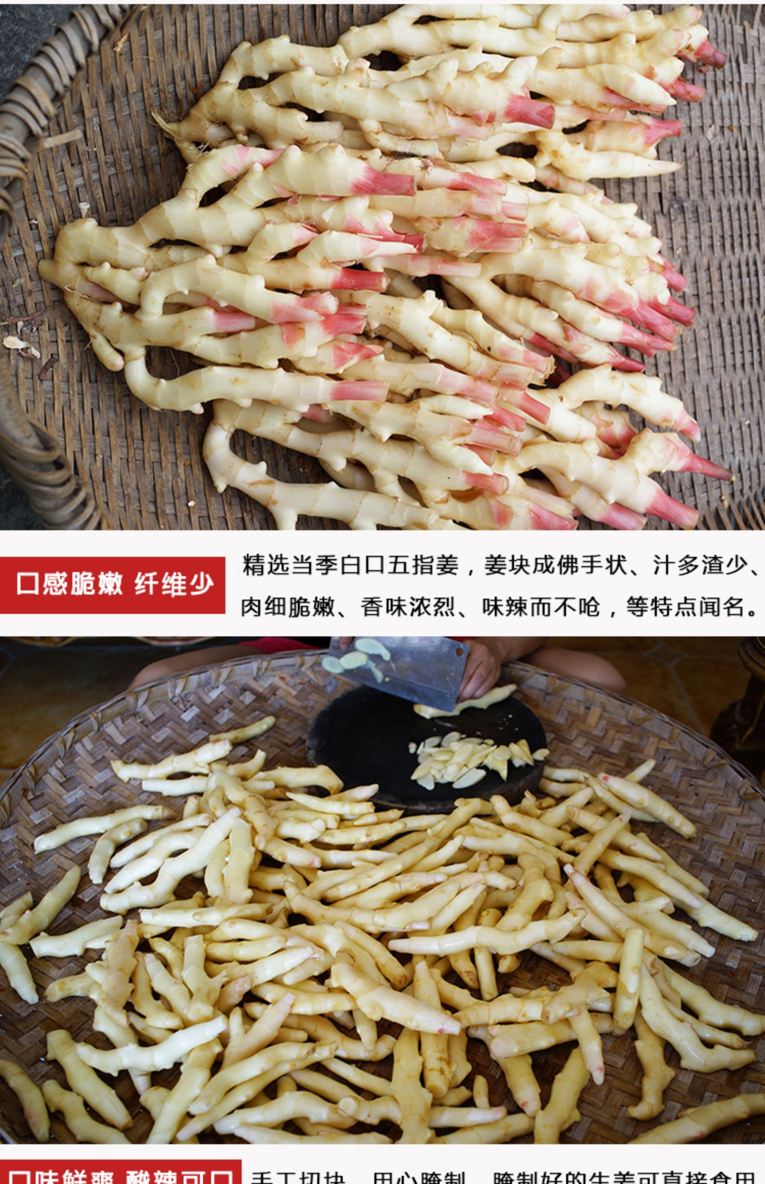 嫩姜泡姜泡椒四川泡菜 酸辣生姜片即食腌制仔姜500g第
