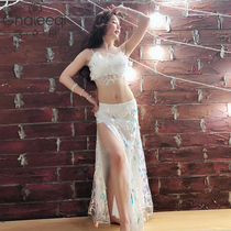 Song Liqi Song Sister belly dance practice suit new top long skirt bottoms Dance performance performance costume suit