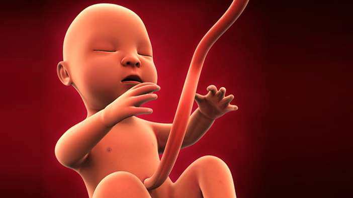 受孕月份有讲究,这个季节怀宝宝最健康!