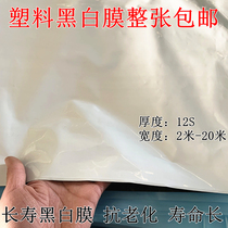 Greenhouse film anti-aging long life black and white film thick plastic cloth heat insulation reflective plastic film poultry breeding insulation