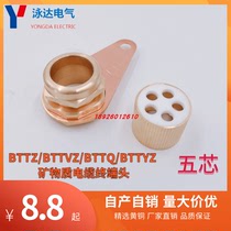Mineral cable sealed moisture-proof ground terminal BTTZ terminal head five core spot straight for 5 * 4 6 10 16 25