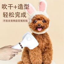 Pet hair dryer hair-raising all-in-one artifact hair comb dog hair dryer hair dryer Teddy hair comb beauty special