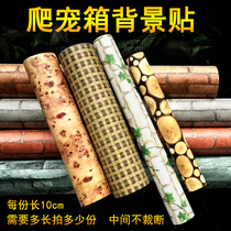 Reptile Box Background paper pvc sticker turtle lizard Gecko climbing box decoration wallpaper landscape board sticker