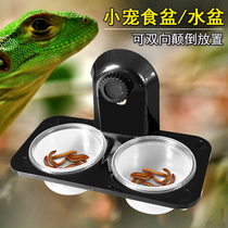 Multifunctional wall-mounted reptile basin basin Bowl double-use suction cup screw detachable lizard Spider pet supplies
