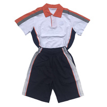 Boys and girls autumn winter clothing summer new school uniform set Dongguan Dalong primary school clothing