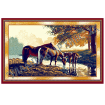 Mongolia Erdente Tapestry 100#150cm