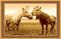 Ulan Bator Mongolia tapestry 0 9mx1 25m