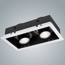 Ras NLED5821B 5822B 5823B 9W COB LED single head double head three grid grid lamp