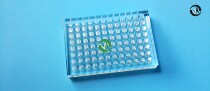 Determination of UV Shanghai Jingan 96-well quartz microplate microplate non-removable transparent glass plate by microplate reader