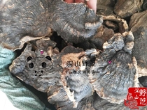 Wild Thin Tree Cheese Medicinal Fungus 500g Pure Wild Origin Direct Free Sliced Powder