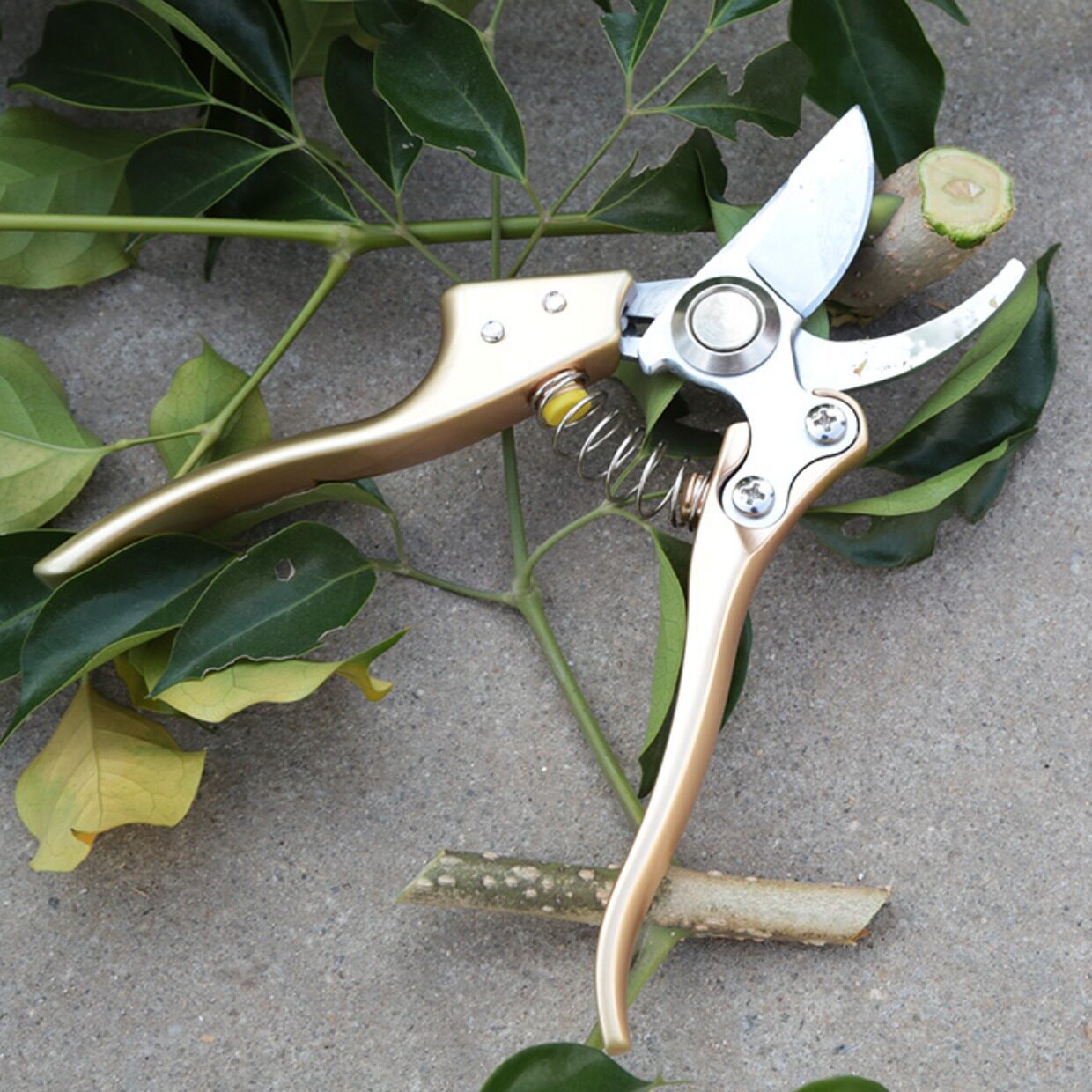 进口修枝剪刀园艺剪刀花剪果树剪修剪树枝剪刀剪枝剪园林工具锰钢_7折