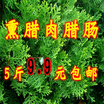 Fresh and fresh cypress leaves lateral cypress leaves cypress leaves hair smoked bacon smoked bacon bacon smoked bacon