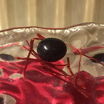 Lotus-born Tus Saintas Saintas Saintas 5-8mm supplies