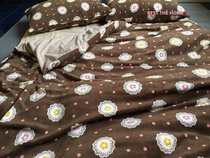 Foreign trade original single export to Japan coral velvet cotton flannel pillowcase duvet cover sheet bed sheet four-piece set