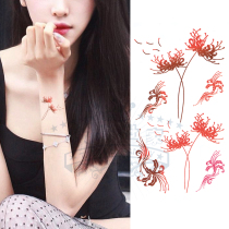 Pegan Pattern Body Stickers Waterproof Female Persistent Sexy Little Fresh Mandola Roo Flowers Non Permanent Net Red Tattoo