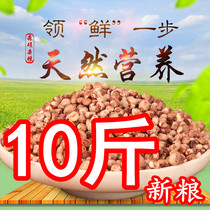 Northeast sorghum rice farmers self-planted red sorghum Rice Shell and peeling coarse grain rice whole grains miscellaneous grains miscellaneous Rice 10kg
