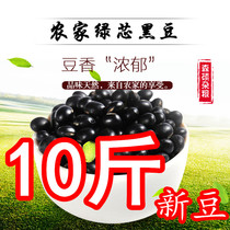 Northeast Green Heart black beans 10kg new goods farmers self-produced Heilongjiang grains beans prepared for pregnant soy milk bean sprouts