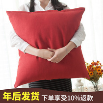 Sofa bed pillow cover with core cushion large Nordic solid color pillow cotton linen car cushion cover