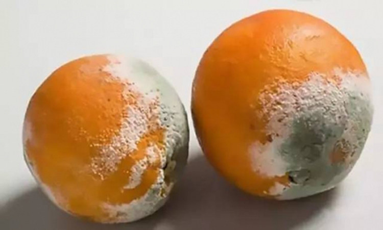 水果只坏了一丢丢,还能再吃吗?