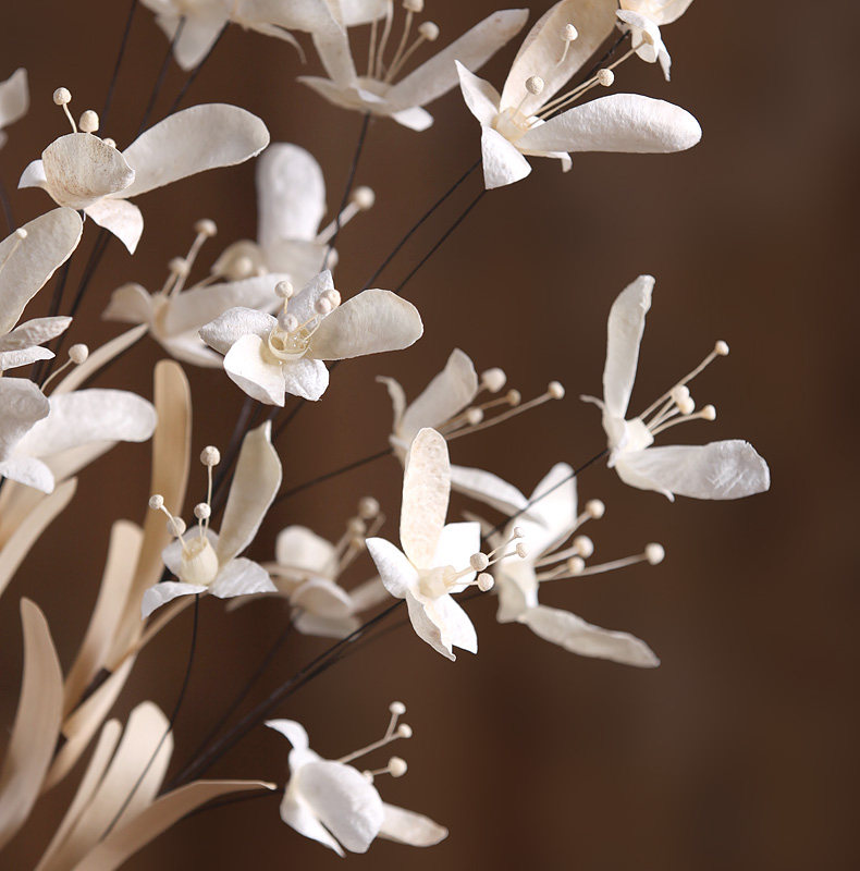 蝴蝶兰仿真花干花花束装饰干花真花假花仿真花长枝客厅卧室内天然