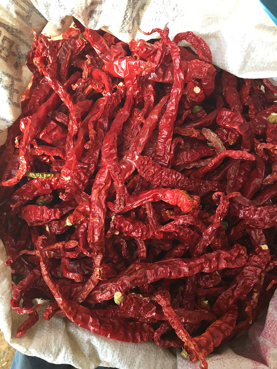 特辣特香 大方特产 皱椒之乡 二荆条辣椒 贵州干辣椒好于四.