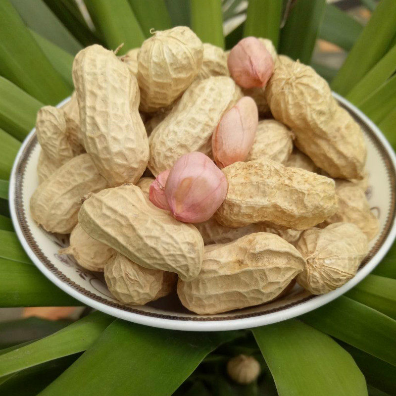 【农家土花生】带壳红皮花生米 小粒生新晒干花生红衣 生花生包邮