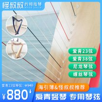 Harp string 23 string 38 string 40 string love Green special nylon string winding silk string sheep intestines string spare performance test grade